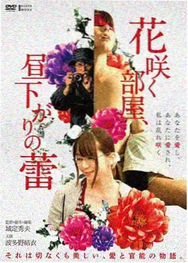 大陆文艺电影《芳华》电影海报